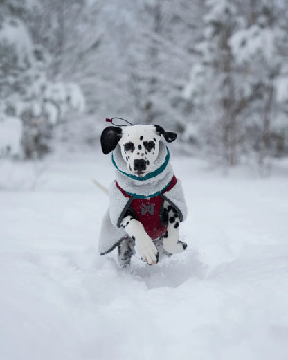 NON STOP DOGWEAR Trekking fleeced dog jacket