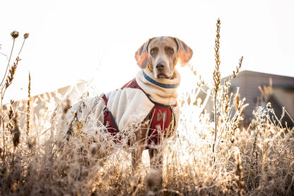 NON STOP DOGWEAR Trekking fleeced dog jacket