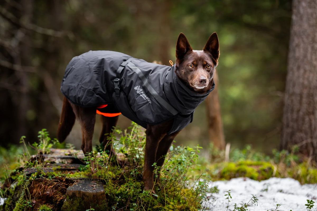 NON STOP DOGWEAR Trekking insulated dog jacket