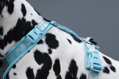 NON STOP DOGWEAR Trekking line harness CLIP'N™