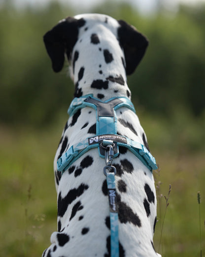 NON STOP DOGWEAR Trekking line harness CLIP'N™