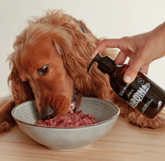 El aceite de sardina de Wild Balance es un suplemento natural de Omega 3 para perros y gatos que mantiene la piel y el pelo sanos, reduce picores e irritación por alergias al ser antiinflamatorio, refuerza el sistema inmune y el corazón. Shop Animal Spirit - Tienda de alimentación animal en Toledo. Envíos a domicilio.