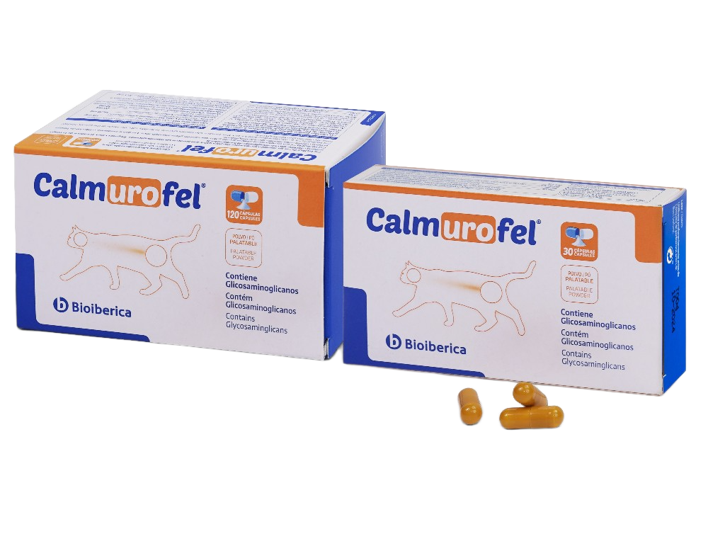 calmurofel suplemento urinario para la cistitis idiopática en gatos