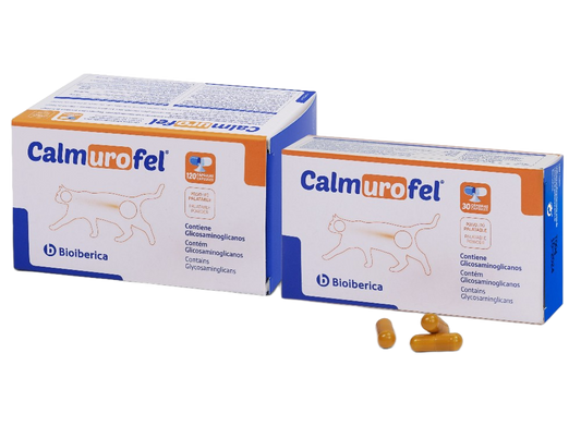 calmurofel suplemento urinario para la cistitis idiopática en gatos