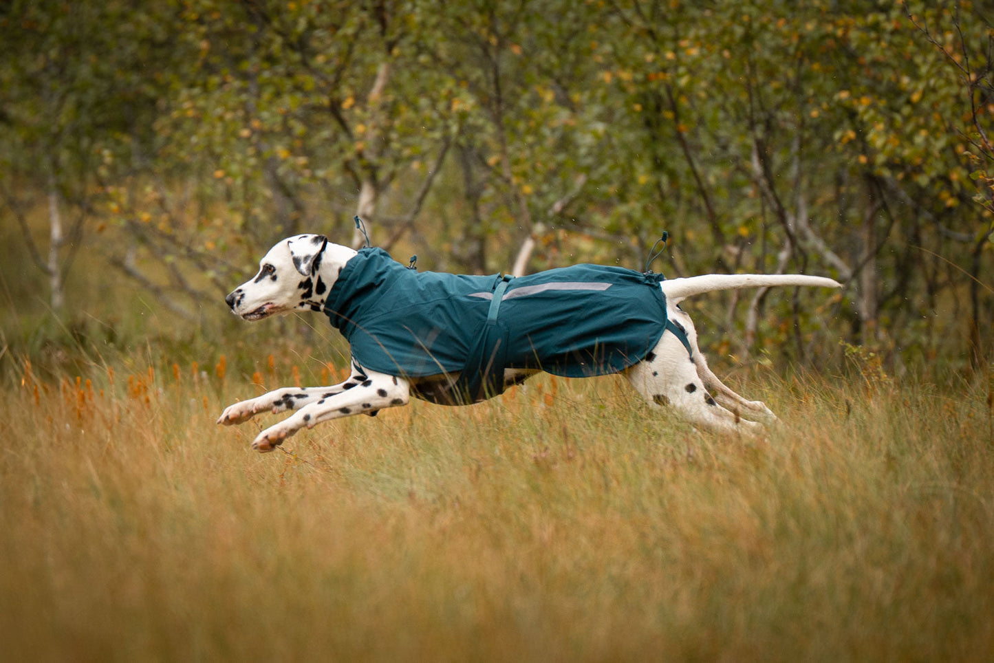 Non Stop Dogwear - Fjord lined raincoat
