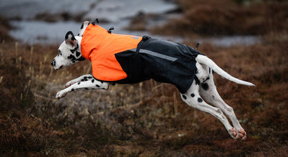 Non Stop Dogwear - Fjord raincoat 2.0