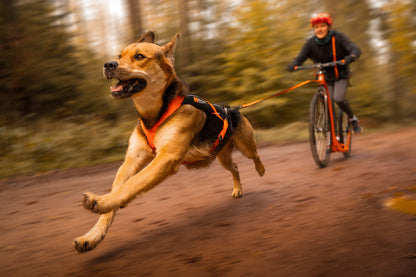 Non Stop Dogwear - Arnés Freemotion 5.0