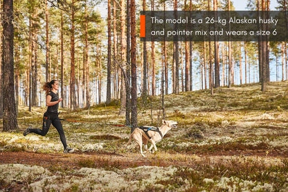 Non Stop Dogwear - Arnés Freemotion