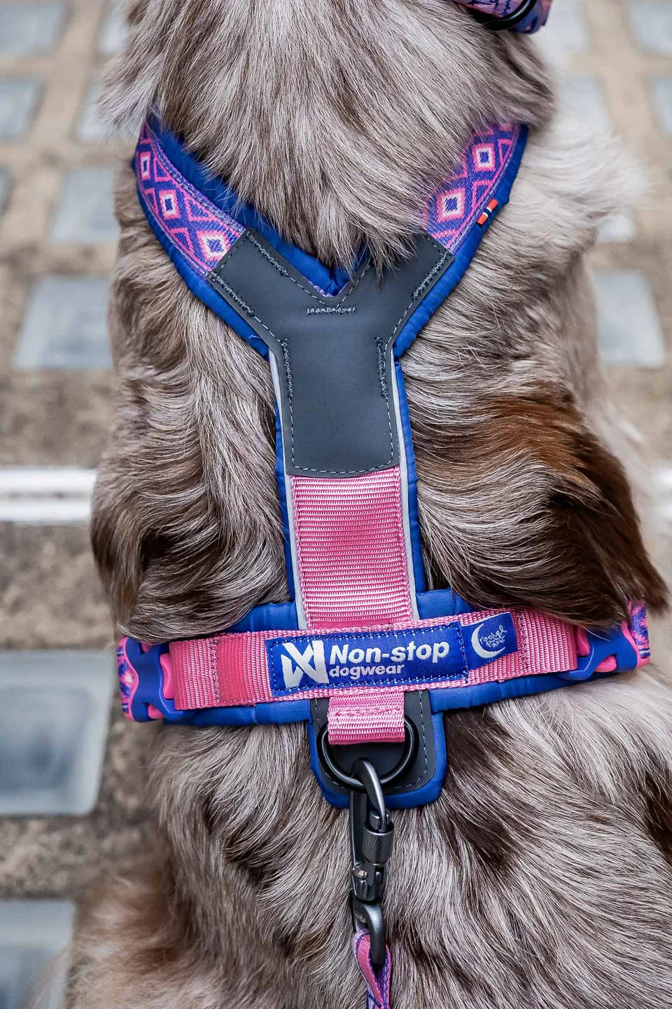 Non Stop Dogwear - Line harness 5.0 Rachel Pohl edition