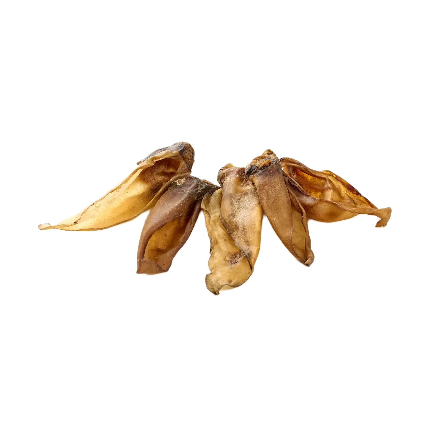 Oreja de ciervo sin pelo para perros, snack natural