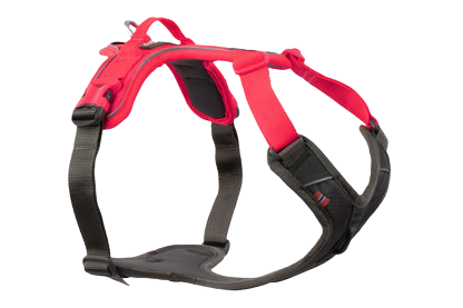 Non Stop Dogwear - Ramble Harness