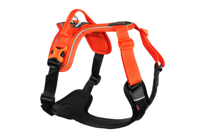 Non Stop Dogwear - Ramble Harness