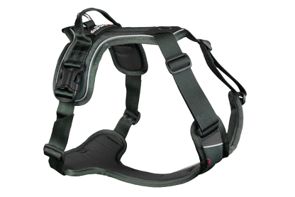 Non Stop Dogwear - Ramble Harness