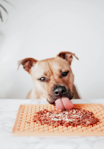 Los toppers de Mr Bones "Mejillón de labio verde" son un suplemento para perros y gatos para hacer sus comidas más apetecibles o como un extra de Omega 3,vitaminas y minerales, que ayuda a la salud articular. 100% mejillón de labio verde, sin cereales, aditivos ni conservantes. Más en Shop Animal Spirit.