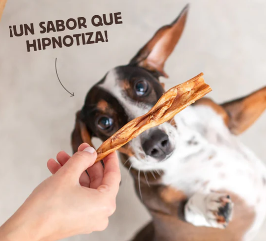 La caravaca de cabra de wild balance es un snack natural apto para perros y gatos. Descubre más en Shop Animal Spirit